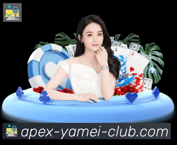 企业概况